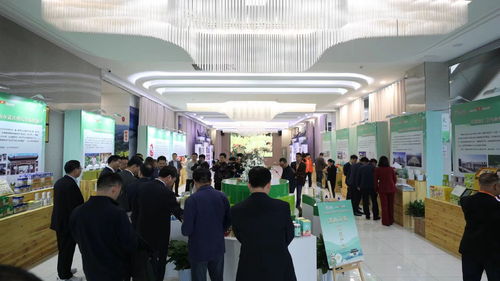 2023黄山贡菊 歙县 产业发展大会召开