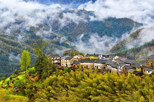 只知黄山 塔川 这才是安徽最惊艳的世外桃源,90 的人都去错了地方