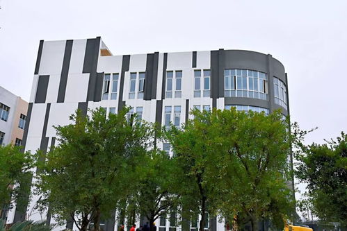 龙港高大上的 印刷产业创新服务综合体 即将投用 猪八戒全球印艺总部 北京印刷学院海西分院 印刷包装产品检测院等将如期进驻