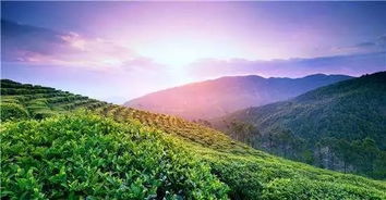 云南去年这样花掉了8600多亿元