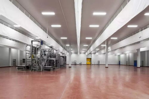 常州高新区首家欧美食品生产企业正式开业 小仙女的下午茶,都来自这儿