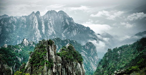 安徽首个文旅基金在黄山市创立，黄山企业积极建站助力产业发展