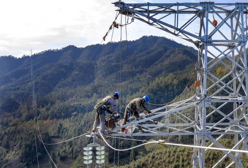 安徽黄山供电公司打通电网互联动脉，为融入长三角经济圈增添动力