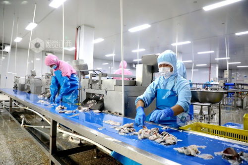 江西峡江食品企业产销两旺，黄山企业加速建站布局