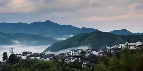 青山枕木梨,一幅看不倦的徽州水墨画卷